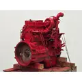 CUMMINS ISL Engine Assembly thumbnail 5