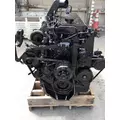 CUMMINS ISM 2612 ENGINE ASSEMBLY thumbnail 12