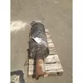 CUMMINS ISM DPF DPF (Diesel Particulate Filter) thumbnail 3