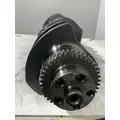 CUMMINS ISM EGR Engine Crankshaft thumbnail 5