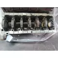 CUMMINS ISM11 CYLINDER BLOCK thumbnail 8