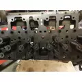 CUMMINS ISM11 CYLINDER HEAD thumbnail 18