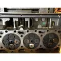 CUMMINS ISM11 CYLINDER HEAD thumbnail 7