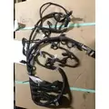 CUMMINS ISM11 ENGINE WIRING HARNESS thumbnail 6