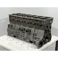 CUMMINS ISM Cylinder Block thumbnail 2