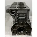 CUMMINS ISM Cylinder Block thumbnail 5