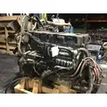 CUMMINS ISM Engine Assembly thumbnail 9
