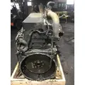 CUMMINS ISM Engine Assembly thumbnail 6