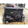 CUMMINS ISM Engine Assembly thumbnail 4