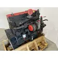 CUMMINS ISM Engine Assembly thumbnail 6