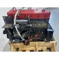 CUMMINS ISM Engine Assembly thumbnail 9