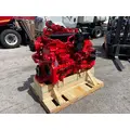 CUMMINS ISM Engine Assembly thumbnail 8