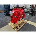 CUMMINS ISM Engine Assembly thumbnail 6