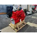 CUMMINS ISM Engine Assembly thumbnail 8