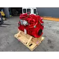 CUMMINS ISM Engine Assembly thumbnail 5