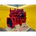 CUMMINS ISM Engine Assembly thumbnail 6