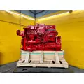 CUMMINS ISM Engine Assembly thumbnail 9