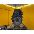 CUMMINS ISM Engine Assembly thumbnail 8