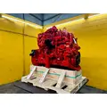 CUMMINS ISM Engine Assembly thumbnail 6