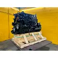 CUMMINS ISM Engine Assembly thumbnail 14