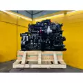CUMMINS ISM Engine Assembly thumbnail 9