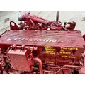 CUMMINS ISM Engine Assembly thumbnail 3