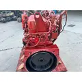 CUMMINS ISM Engine Assembly thumbnail 4