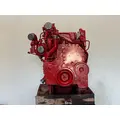 CUMMINS ISM Engine Assembly thumbnail 8