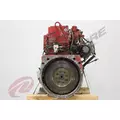 CUMMINS ISM Engine Assembly thumbnail 4