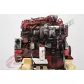 CUMMINS ISM Engine Assembly thumbnail 6