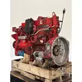 CUMMINS ISM Engine Assembly thumbnail 3