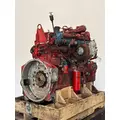 CUMMINS ISM Engine Assembly thumbnail 5
