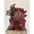 CUMMINS ISM Engine Assembly thumbnail 8