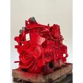 CUMMINS ISM Engine Assembly thumbnail 1