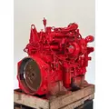 CUMMINS ISM Engine Assembly thumbnail 5