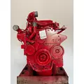 CUMMINS ISM Engine Assembly thumbnail 8