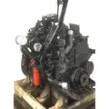 CUMMINS ISM Engine Assembly thumbnail 7