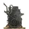 CUMMINS ISM Engine Assembly thumbnail 8