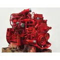 CUMMINS ISM Engine Assembly thumbnail 7