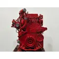 CUMMINS ISM Engine Assembly thumbnail 8
