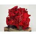 CUMMINS ISM Engine Assembly thumbnail 7