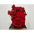 CUMMINS ISM Engine Assembly thumbnail 8