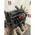 CUMMINS ISM Engine Assembly thumbnail 2