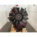 CUMMINS ISM Engine Assembly thumbnail 4