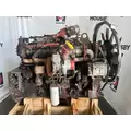 CUMMINS ISM Engine Assembly thumbnail 4