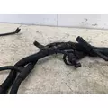 CUMMINS ISM Engine Wiring Harness thumbnail 3