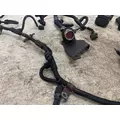 CUMMINS ISM Engine Wiring Harness thumbnail 5