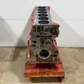 CUMMINS ISX CM570 Cylinder Block thumbnail 8
