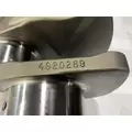 CUMMINS ISX EGR Engine Crankshaft thumbnail 7