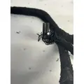 CUMMINS ISX EGR Engine Wiring Harness thumbnail 6